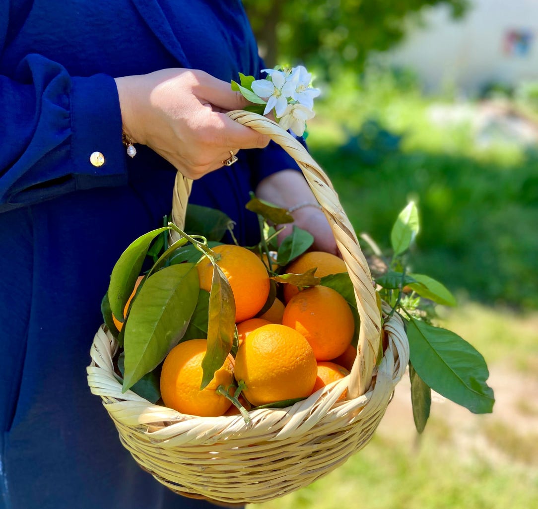 A woman holding a basket of oranges in the garden